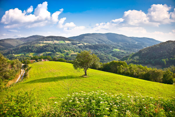 Paisagem natural na vila de Divčibare, no oeste da Sérvia.