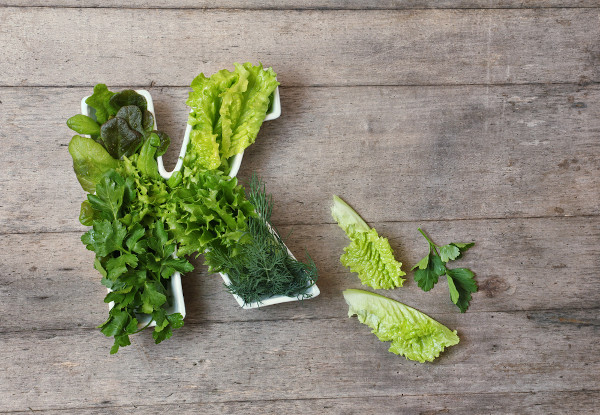 Diferentes vegetais verdes folhosos que possuem a vitamina K.