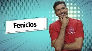 "Fenícios" escrito sobre fundo azul ao lado da imagem do professor