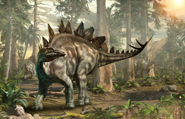 Stegosaurus.