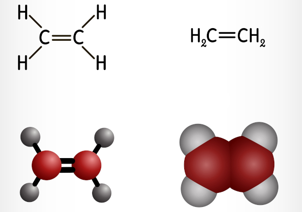 Representação da química molecular e do modelo estrutural do eteno (polietileno).