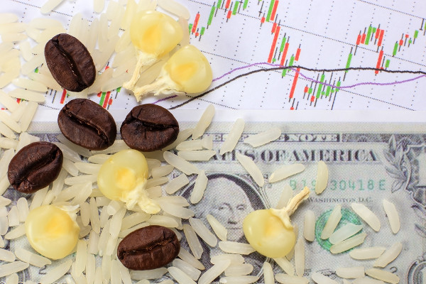 Grãos de arroz, café e milho sobre nota de dólar