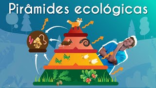 Professor ao lado representação do que é Pirâmides ecológicas e escrito"Pirâmides ecológicas" em fundo azul.