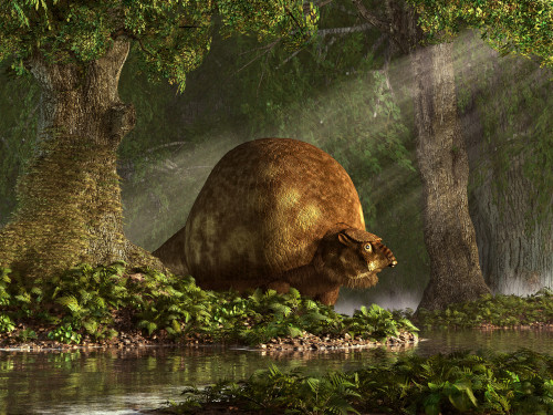Gliptodonte