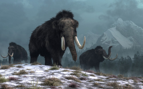 Mamutes