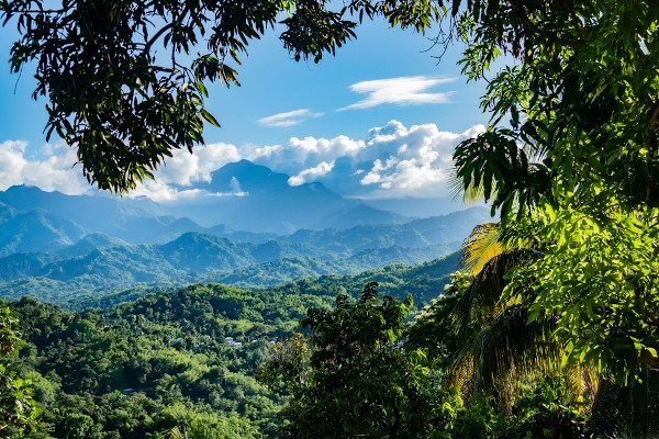 Área florestal densa, típica de áreas com clima equatorial