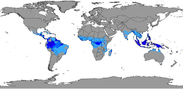 Mapa com distribuição do clima tropical pelo mundo.