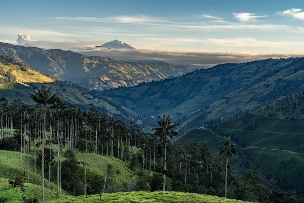 Paisagem do vale de Cocora, na Colômbia.