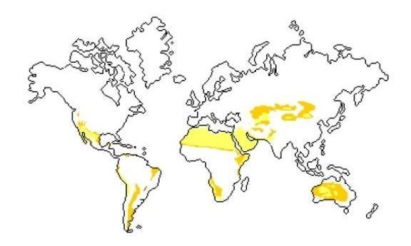 Mapa-múndi com regiões de ocorrência de climas secos em destaque.