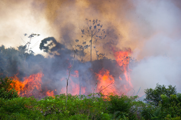 Queimadas na Amazônia