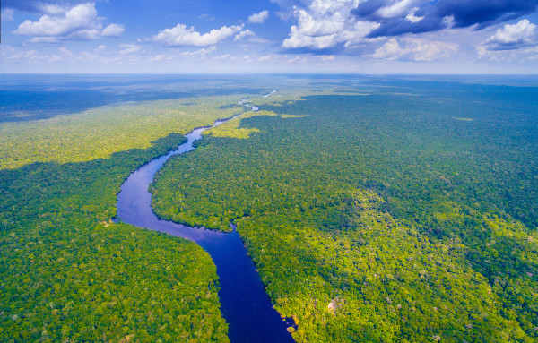 Vista aérea de área florestal cortada por um rio na Amazônia.
