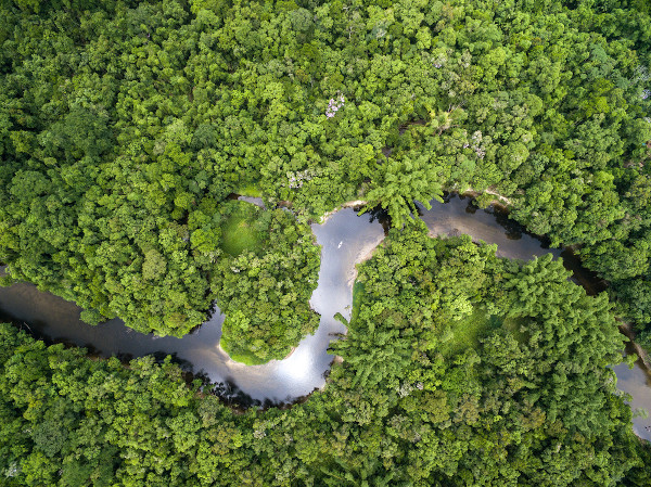 Vista superior da Floresta Amazônica, um tipo de vegetação fortemente relacionada ao clima da região Norte do Brasil.