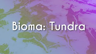 Texto"Bioma: Tundra" próximo a uma representação do que é o Bioma: Tundra.