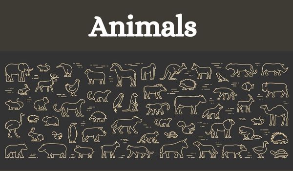 Ilustração representando os animais em inglês (animals).