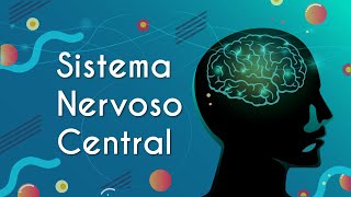 Escrito"Sistema Nervoso Central" sobre uma representação de um cérebro humano.