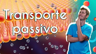 Professor ao lado do texto"Transporte Passivo" e representação do que é Transporte Passivo.