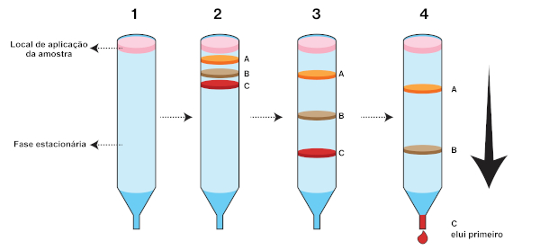 Demonstração de uma cromatografia em coluna