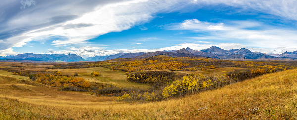  Pradaria em Alberta, no Canadá, região de ocorrência do clima continental.