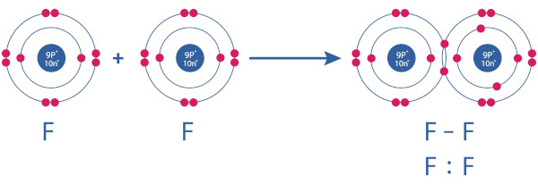 Representação da formação da ligação F–F, um dos motivos pelos quais o flúor é altamente reativo.
