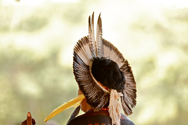 Indígena da tribo Pataxó de costas e com cocar na cabeça.