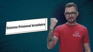 "Sistema Prisional Brasileiro" escrito sobre fundo verde ao lado da imagem do professor