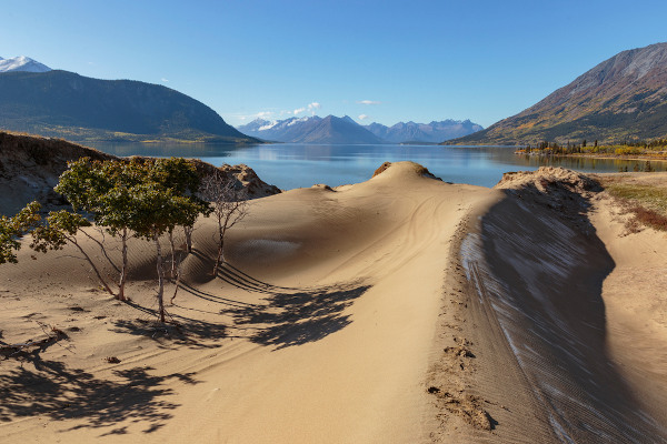 Deserto de Carcross, no Canadá, o menor deserto do mundo.