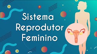 "Sistema Reprodutor Feminino" escrito sobre fundo azul ao lado da ilustração de um corpo feminino