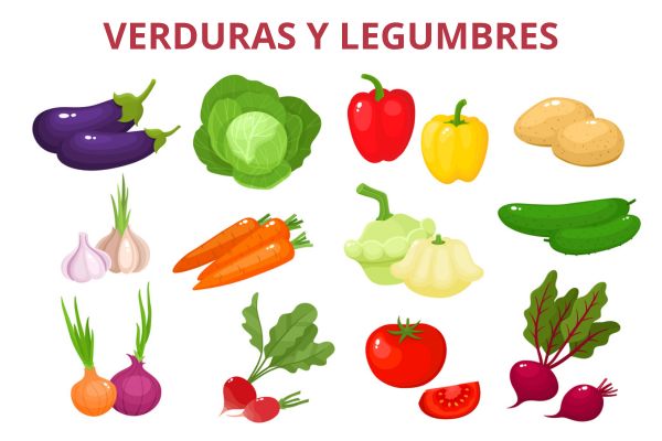 Ilustração de verduras e legumes como representação das verduras e dos legumes em espanhol (verduras y legumbres).
