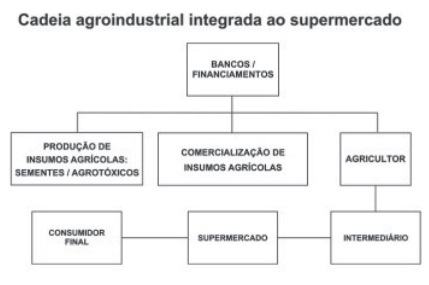 Organograma sobre cadeia agroindustrial em exercício de Geografia econômica.