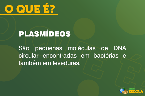 Conceito de plasmídeos.
