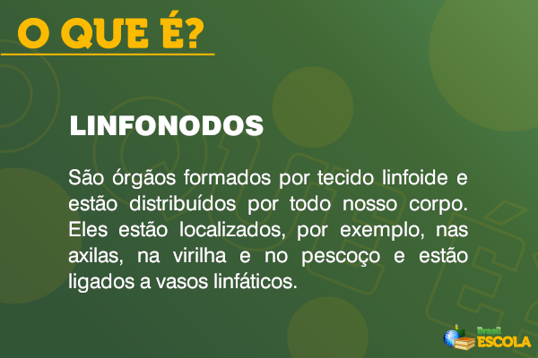 Definição de linfonodos.