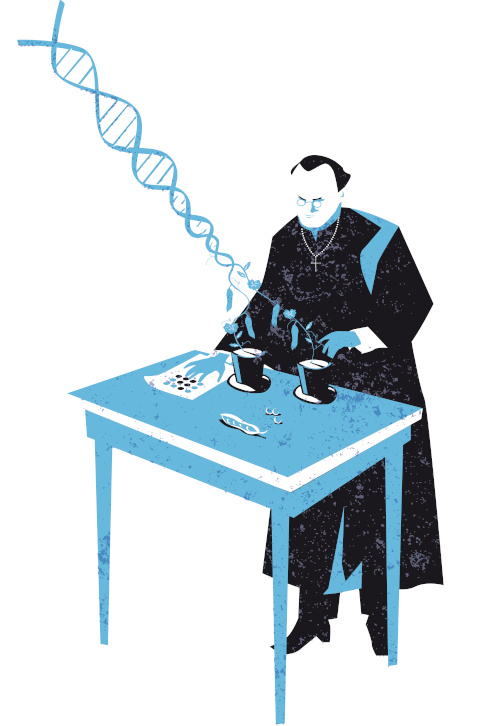 Representação de Gregor Mendel, o pai da genética, fazendo cruzamentos de ervilhas.