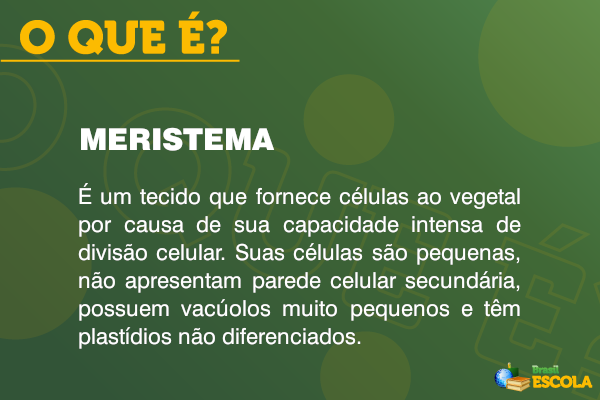 Definição de meristema.