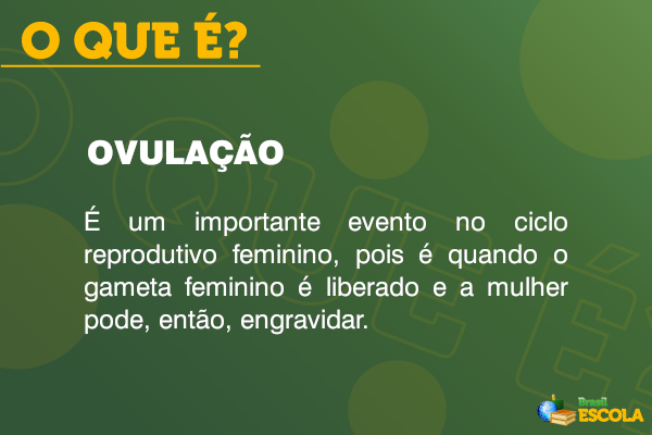 Quadro com o conceito de ovulação.
