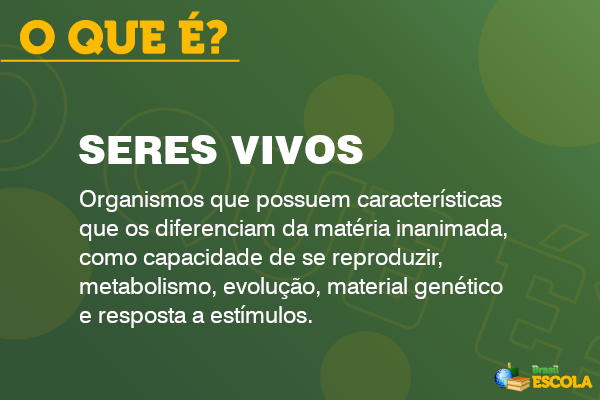 Você sabe o que é evolução? SEI! 