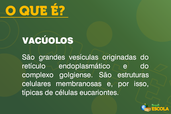 Definição de vacúolos.