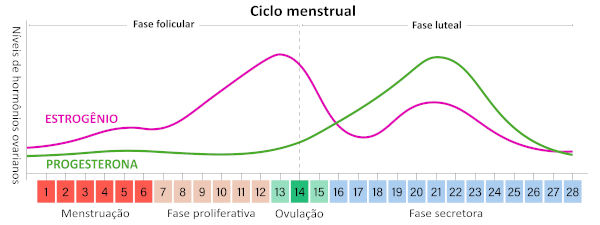Gráfico dos níveis de progesterona no ciclo menstrual.