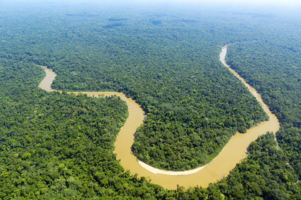 Curvas do rio Cononaco, cercado pela vegetação da Amazônia.