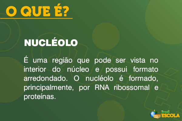Definição de nucléolo.