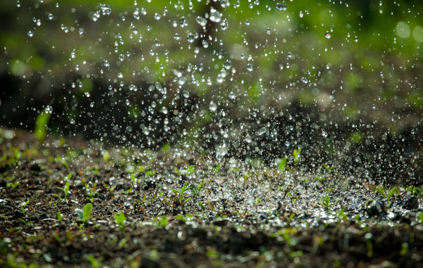 Gotas de chuva caindo sobre o solo, uma das causas da lixiviação.