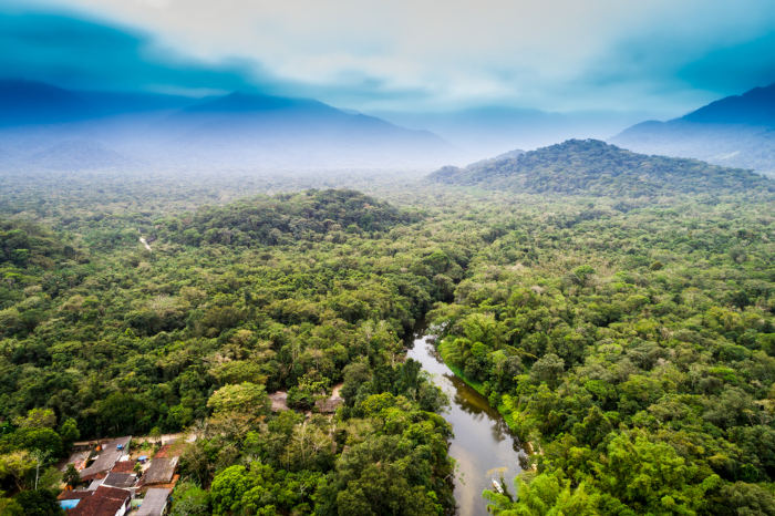 Floresta Amazônica, região de ocorrência do bioma Floresta Equatorial, um dos biomas do mundo.