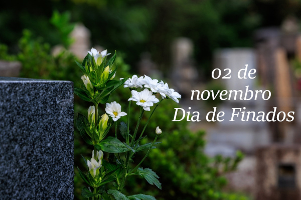 Frase "02 de novembro - Dia de Finados" escrita ao lado de flores em um túmulo.