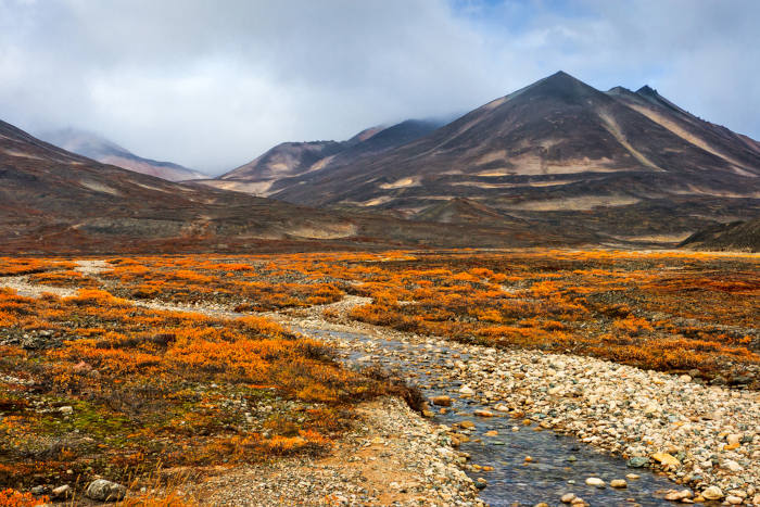 Regi&atilde;o de ocorr&ecirc;ncia do bioma Tundra, um dos biomas do mundo.