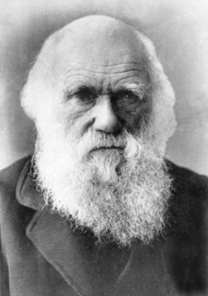 Retrato de Charles Darwin, que dsenvolveu uma conhecida teoria da evolução, o Darwinismo.