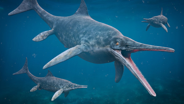Representação gráfica de ictiossauros, uma das formas de vida marinha que viveram durante o Período Jurássico.