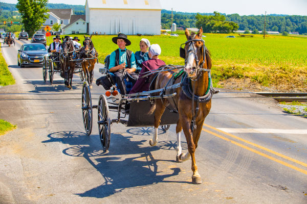 Moradores de uma comunidade Amish em carroças, seguidos por carros, na rua de uma cidade da Pensilvânia.