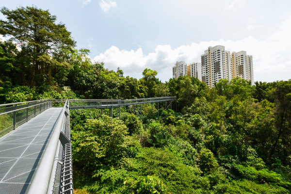 Trilha em área de floresta em Singapura. 