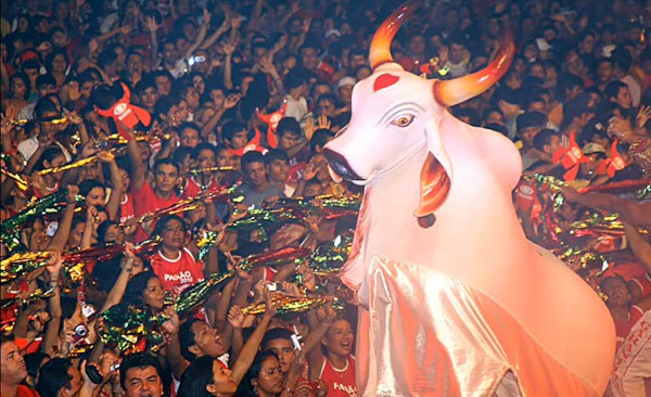 Boi Garantido, um dos bois-bumbás característicos do Festival de Parintins.
