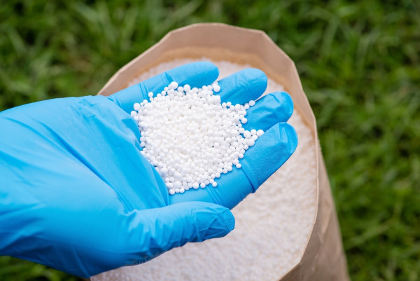 Agricultor, com luvas azuis, manipulando fertilizante feito com nitrogênio.