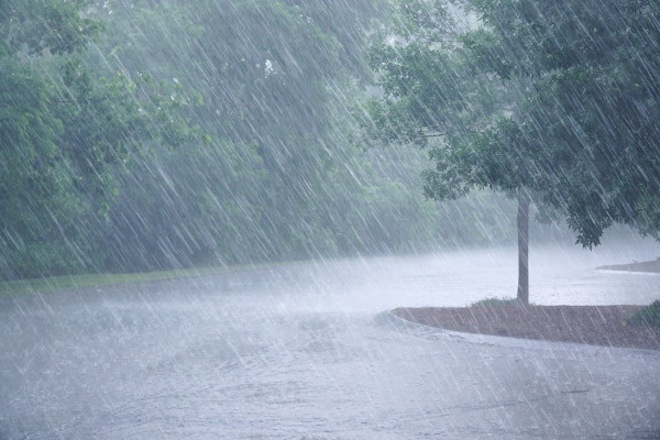 Chuva caindo sobre árvores em texto sobre troposfera.